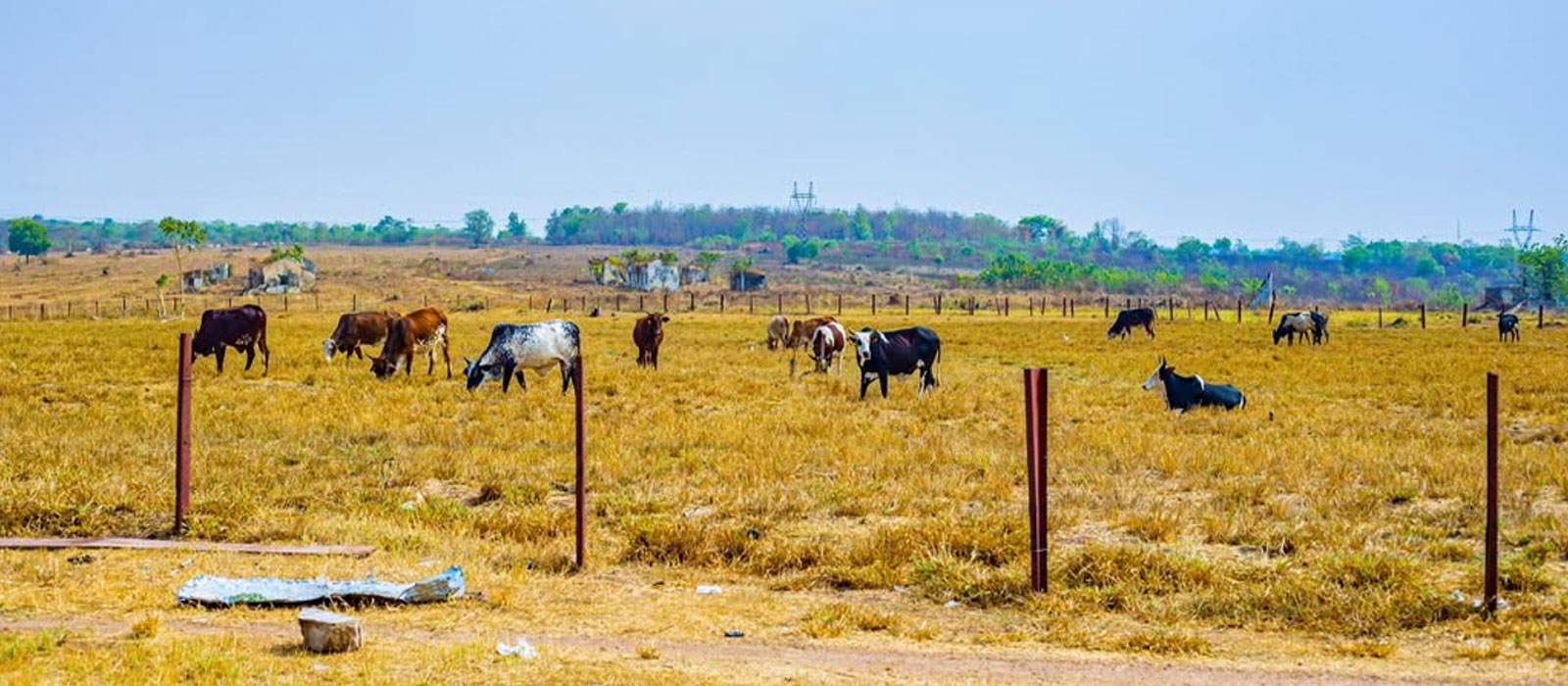 OYO AGRIBUSINESS SUMMIT 2021.