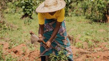 Expanding the Rural Economy: Agribusiness as a Tool for Balanced Statewide Growth