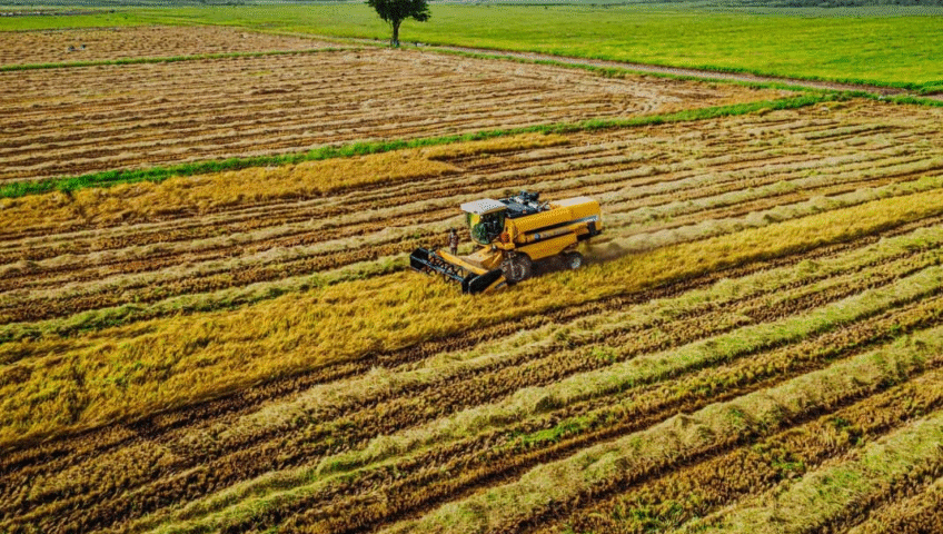 Oyo State as a Regional Economic Engine: The Agribusiness Advantage